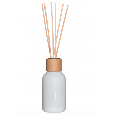 Telpas aromāts bērzs 100ml
